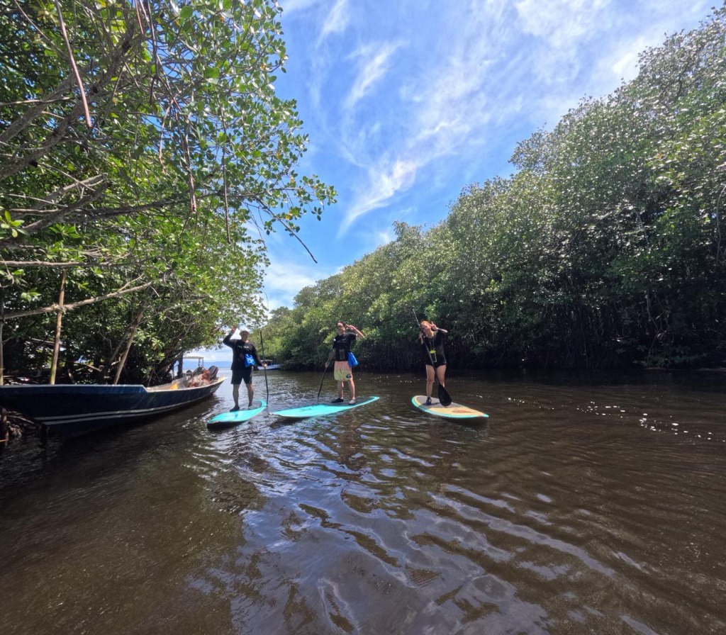 アクティビティの様子 5