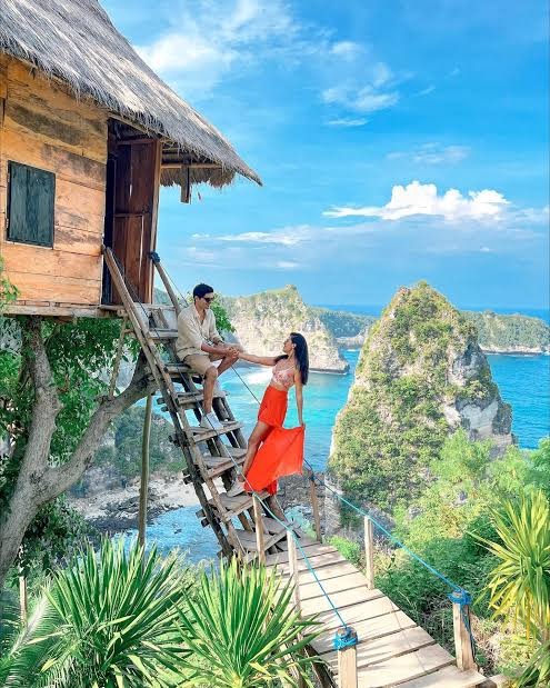 ツリーハウス 2