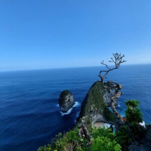 LINE_ALBUM_penida island_240718_1